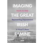 Imaging the Great Irish Famine