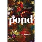 Pond
