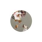 Malerifabrikken Tavla Pet Couture 2 Multi