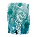 Malerifabrikken Poster Grass 3 Blå