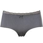 Trofé Laila Midi Brief Grey