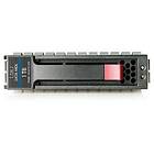 HP 536611-B21 1TB