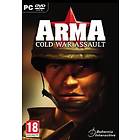 ArmA: Cold War Assault (PC)