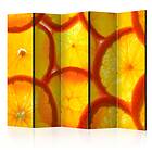 Arkiio Rumsavdelare Orange Slices II 225x172 cm