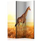 Arkiio Rumsavdelare Giraffe Walk 135x172 cm A3-PARAVENTtc0700