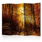 Arkiio Rumsavdelare Autumn Illumination II 225x172 cm A3-PARAVENTtc1063