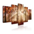 Arkiio Tavla Forest Fog 100x50 A3-N6327