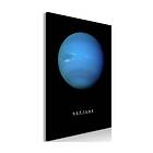 Arkiio Tavla Neptune (1 Part) Vertical 60x90 A3-N8224-XL