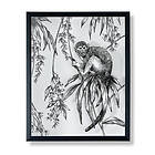 Art For The Home Tavla Saimiri Monkey for the Tavlor 40X50 112062