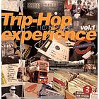 Diverse Electronica - Trip Hop Experience Vol 1 CD