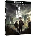 The Last of Us (UHD + BD)