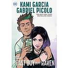 Kami Garcia, Gabriel Picolo: Teen Titans: Beast Boy Loves Raven