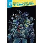 Kevin Eastman, Tom Waltz: Teenage Mutant Ninja Turtles: Reborn, Vol. 1 From The Ashes