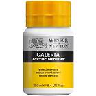 Winsor & Newton Galeria Flexible Modelling Paste 250ml 250ML