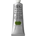 Winsor & Newton Professional Artists Acrylic 60ml PERM SAP GREEN