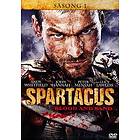 Spartacus: Blood and Sand - Sesong 1 (DVD)