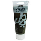 Pebeo Assorted Studio Acrylic Paint 100ml Raw Umber RAWUMBER