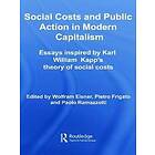 Wolfram Elsner, Pietro Frigato, Paolo Ramazzotti: Social Costs and Public Action in Modern Capitalism