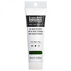 Liquitex Assorted Heavy Body Acrylic 59ml Sap Green Permanent SAP GREEN PER