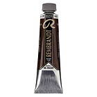 Rembrandt oljefärg 40 ml Raw Umber - 408