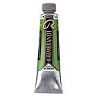 Rembrandt oljefärg 40 ml Cinnabar Green Medium - 625