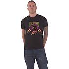 : Unisex T-Shirt/Lion King Scar Unleashed (Small)