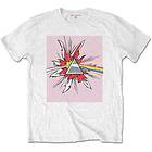 Pink Floyd: Unisex T-Shirt/Lichtenstein Prism