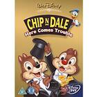 Chip N Dale Trouble In A Tree DVD