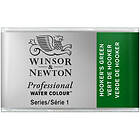 Winsor & Newton W&N akv 1/1 Hooker´s Green