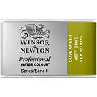 Winsor & Newton W&N akv 1/1 Olive Green