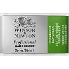 Winsor & Newton W&N akv 1/1 Perm. Sap Green