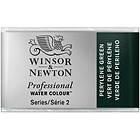 Winsor & Newton W&N akv 1/1 Perylene Green