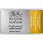 Winsor & Newton W&N akv 1/1 Raw Sienna