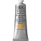 Winsor & Newton W&N Akr 60ml Naples Yell deep