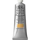 Winsor & Newton W&N Akr 60ml Naples Yellow