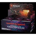Magic the Gathering Adventures in the Forgotten Realms Draft Display Booster