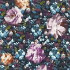 Clarke & Camile Midnight W0148/01