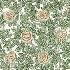 William Morris Rambling RoseLeafy Arbour/Pearwood MEWW217208