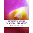 Seventh Sense Imaginal Healing: An homage to Dr. Richard Bartlett, Benjamin Bibb, Barbara Ann Brennan, Donna Eden, Meg Blackburn Losey, Gera