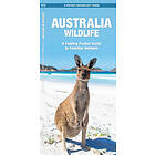 Australia Wildlife: A Folding Pocket Guide to Familiar Animals Engelska Trade Cloth