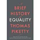 Brief History of Equality Engelska EBook