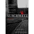 Auschwitz Engelska Paperback