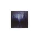 Ilya Beshevli - Night Forest LP