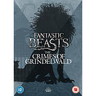 Fantastic Beasts The Crimes of Grindelwald DVD