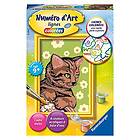 Ravensburger – Numéro d’Art mini format – Chaton et fleurs – Loisir créatif – Kit de peinture par numéros – Activité détente et créative – D