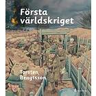 Första världskriget Svenska EBook