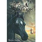 Son of the Black Stallion Engelska EBook