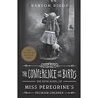 Conference of the Birds Engelska EBook