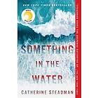Something In The Water Engelska Paperback