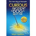 The Curious Incident of the Dog In Night-time Engelska Paperback / softback